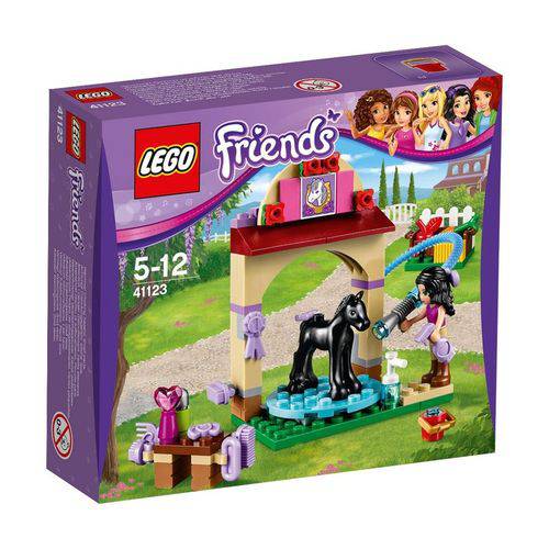 Assistência Técnica, SAC e Garantia do produto 41123 - LEGO Friends - Área de Lavagem do Potro