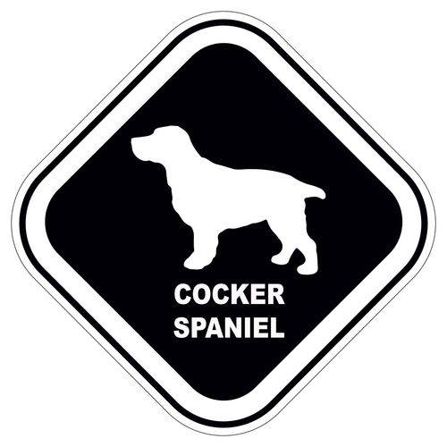 Assistência Técnica, SAC e Garantia do produto Adesivo Cocker Spaniel