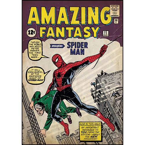 Assistência Técnica, SAC e Garantia do produto Adesivo de Parede Spider-Man Issue #1 Comic Cover Giant Wall Decal Roommates Colorido (46x12,8x2,8cm)