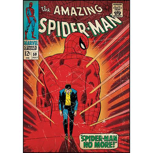 Assistência Técnica, SAC e Garantia do produto Adesivo de Parede Spider-Man Walking Away Comic Cover Giant Wall Decal Roommates Vermelho/Azul (46x12,8x2,8cm)