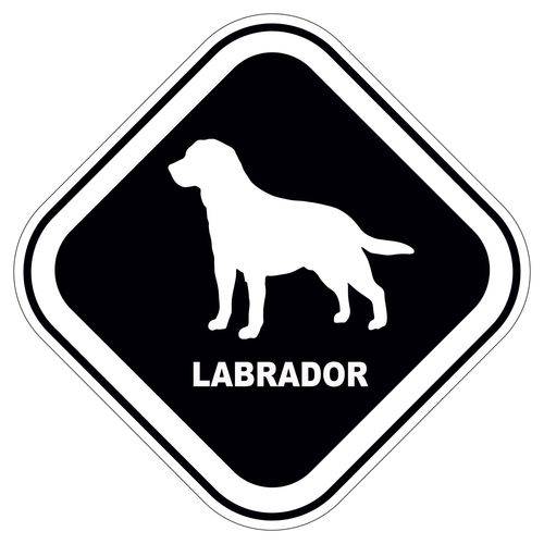 Assistência Técnica, SAC e Garantia do produto Adesivo Labrador