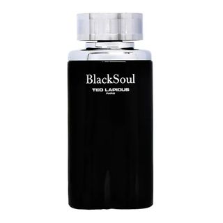 Assistência Técnica, SAC e Garantia do produto Black Soul Ted Lapidus - Perfume Masculino - Eau de Toilette 50ml