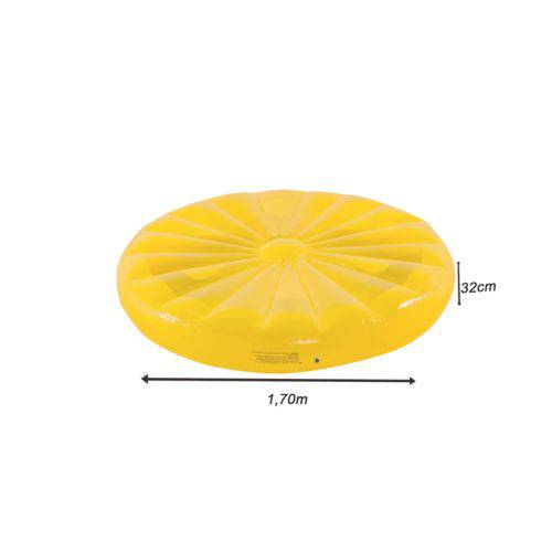 Assistência Técnica, SAC e Garantia do produto Boia Inflável Gigante Limão