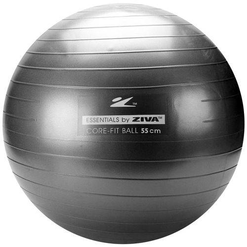 Assistência Técnica, SAC e Garantia do produto Bola de Pilates Anti-Estouro 55cm Ziva