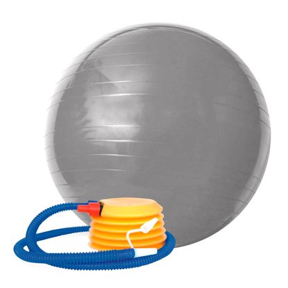 Assistência Técnica, SAC e Garantia do produto Bola Gym Ball ACTE 75 Cm Cinza