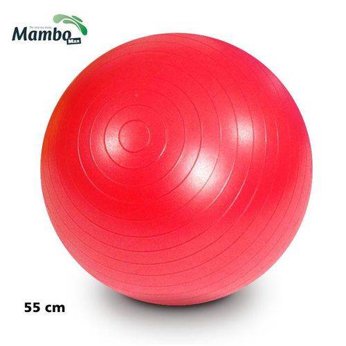 Assistência Técnica, SAC e Garantia do produto Bola para Exercícios Gym Ball 55 Cm Vermelha Mambo Max