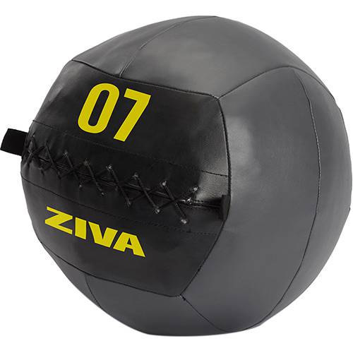Assistência Técnica, SAC e Garantia do produto Bola para Treinamento Funcional Wall Ball Profissional 7kg - Ziva