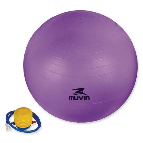 Assistência Técnica, SAC e Garantia do produto Bola Pilates Fitball com Bomba Muvin