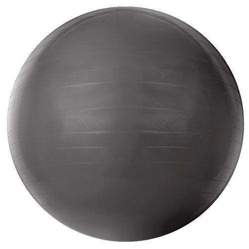 Assistência Técnica, SAC e Garantia do produto Bola Pilates Gym Ball com Bomba Acte - 75cm