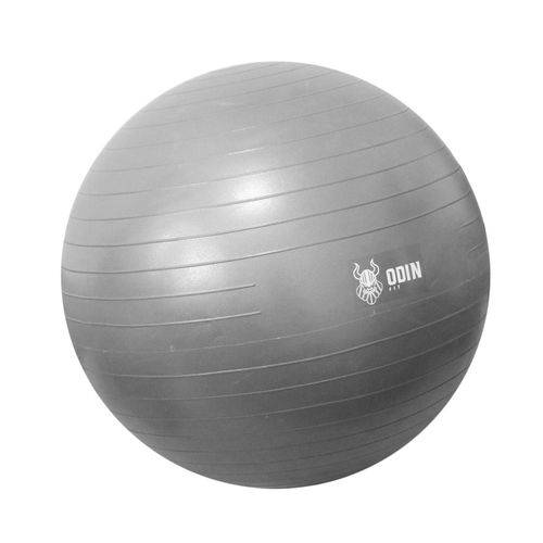 Assistência Técnica, SAC e Garantia do produto Bola Pilates Suiça Yoga Abdominal Gym Ball 65cm com Bomba