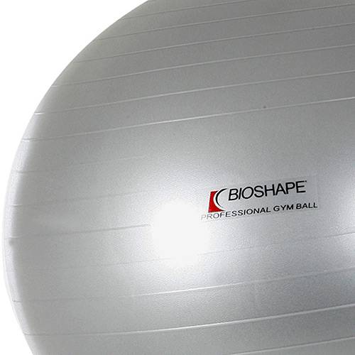 Assistência Técnica, SAC e Garantia do produto Bola Suíça P/ Exercícios Prata 85cm - Bioshape