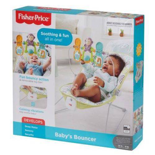 Assistência Técnica, SAC e Garantia do produto Cadeirinha Sons Relax Fisher-Price - Mattel DTG94