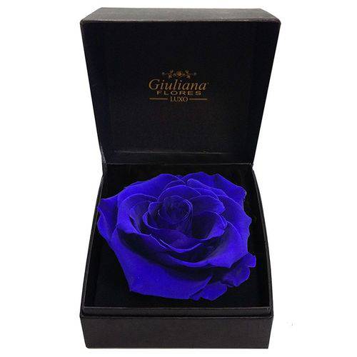 Assistência Técnica, SAC e Garantia do produto Caixa Premium com Rosa Encantada Azul