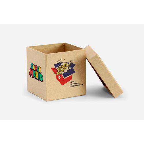 Assistência Técnica, SAC e Garantia do produto Caixa Surpresa Mario Bros. Contendo 7 Itens Exclusivos
