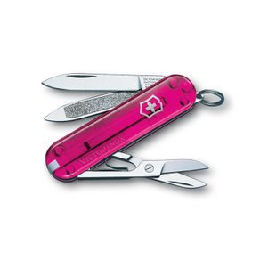 Assistência Técnica, SAC e Garantia do produto Canivete Classic Victorinox Rosa Translúcido