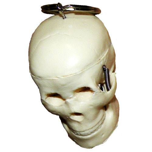 Assistência Técnica, SAC e Garantia do produto Chaveiro Crânio Anatomic - Código: Tgd-0185-c