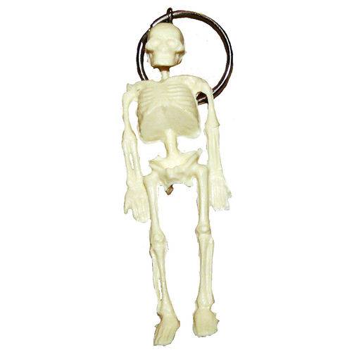 Assistência Técnica, SAC e Garantia do produto Chaveiro Mini - Esqueleto - Anatomic - Código: Tgd-0185-a
