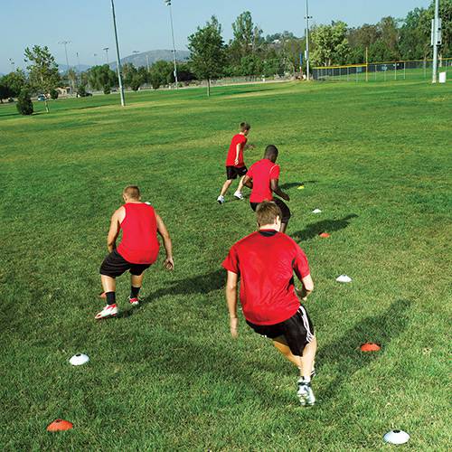 Assistência Técnica, SAC e Garantia do produto Cones Demarcatório - Agility Cone Set - SKLZ