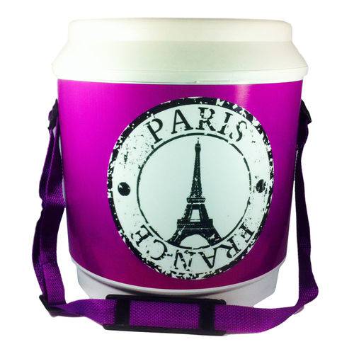 Assistência Técnica, SAC e Garantia do produto Cooler Térmico 24 Latas C/alça Alegra Store - Paris Roxo