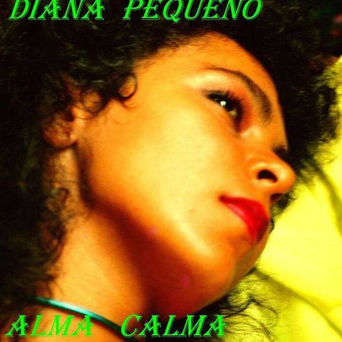 Assistência Técnica, SAC e Garantia do produto Diana Pequeno - Alma Calma