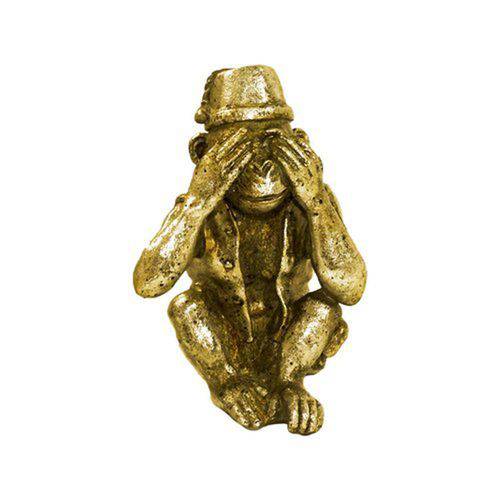 Assistência Técnica, SAC e Garantia do produto Escultura Decorativa Macaco Dourado