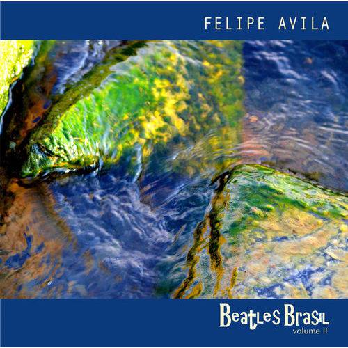 Assistência Técnica, SAC e Garantia do produto Felipe Avila - Beatles Brasil Vol. 2