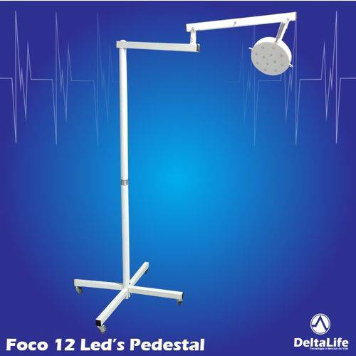 Assistência Técnica, SAC e Garantia do produto Foco Cirúrgico Bicolor - Pedestal Vet - Delta Life - Cód: Dl5002