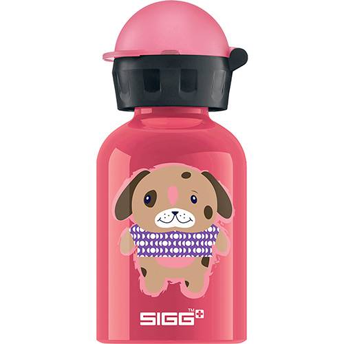 Assistência Técnica, SAC e Garantia do produto Garrafa Alumínio Cuddles 300ml - Sigg