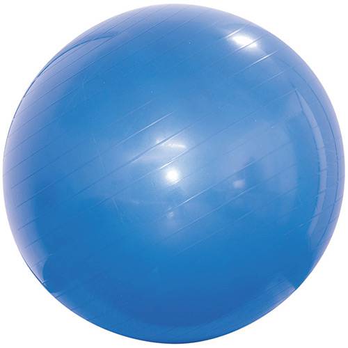 Assistência Técnica, SAC e Garantia do produto Gym Ball 65 Cm Azul