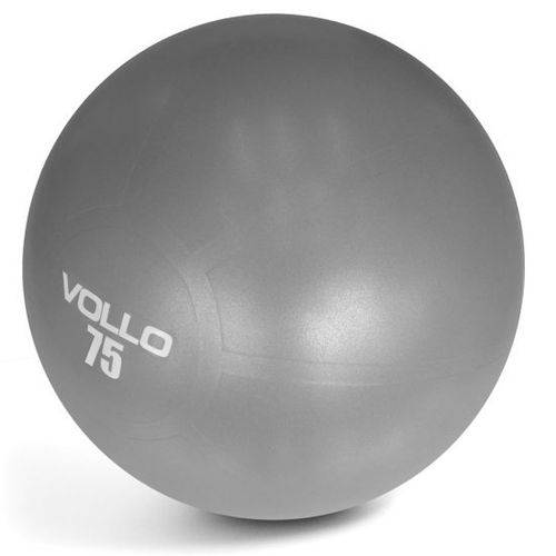 Assistência Técnica, SAC e Garantia do produto Gym Ball 75 Cm Cinza com Bomba