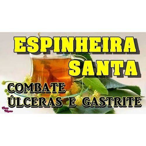 Assistência Técnica, SAC e Garantia do produto Kit Capsula Espinheira Santa 250mg - 3 Potes com 60capsulas