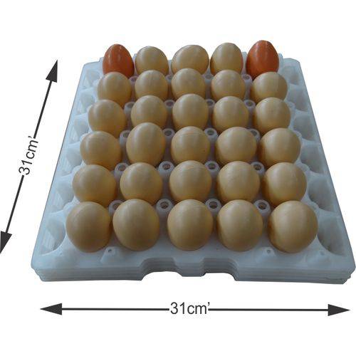 Assistência Técnica, SAC e Garantia do produto Kit com 5 Bandejas de Ovos