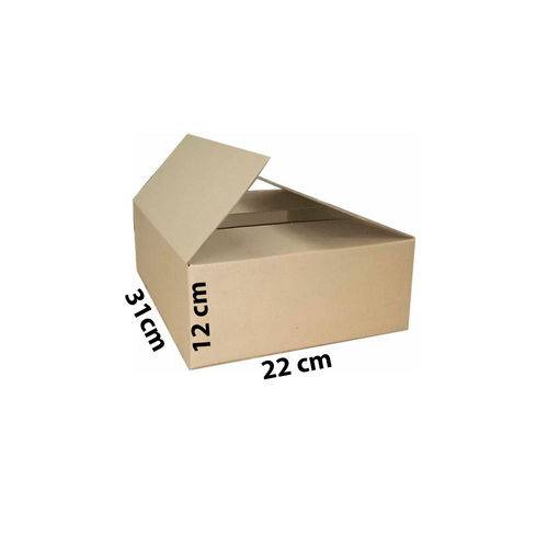 Assistência Técnica, SAC e Garantia do produto Kit com 50 Caixas de Papelão 31x22x12 Cm para Correios e Transporte de Encomendas (Sedex Nº 3)