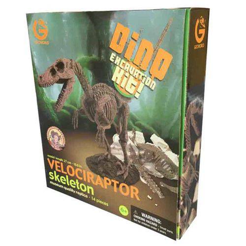 Assistência Técnica, SAC e Garantia do produto Kit Escavação Dino Velociraptor - Geoworld