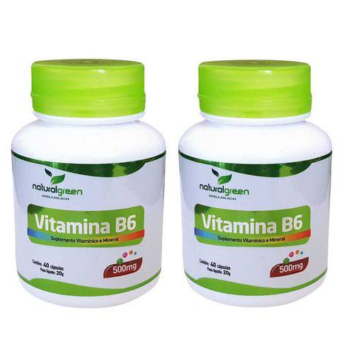 Assistência Técnica, SAC e Garantia do produto Kit Vitamina B6 500mg com 80 Cápsulas