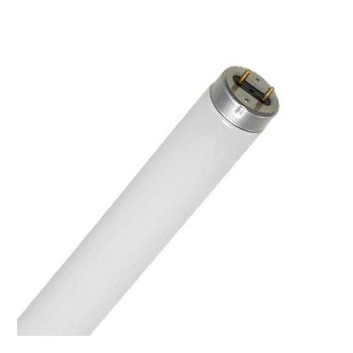 Assistência Técnica, SAC e Garantia do produto Lâmpada Fluorescente T8 32w Luz Branca 14011