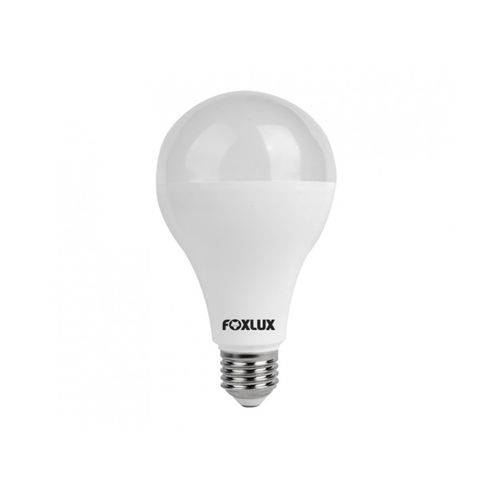 Assistência Técnica, SAC e Garantia do produto Lâmpada Led Alta Potência 20w 6500k E-27 Bivolt Foxlux