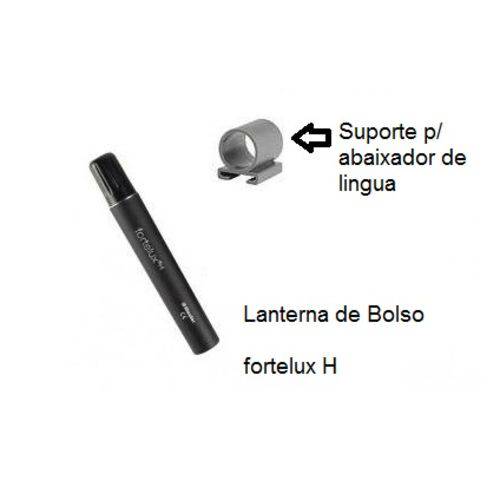 Assistência Técnica, SAC e Garantia do produto Lanterna Médica Fortelux® H Xl 2.5 V, Preta C/ Suporte P/ Abaixador de Língua - Riester - Cód: R5099