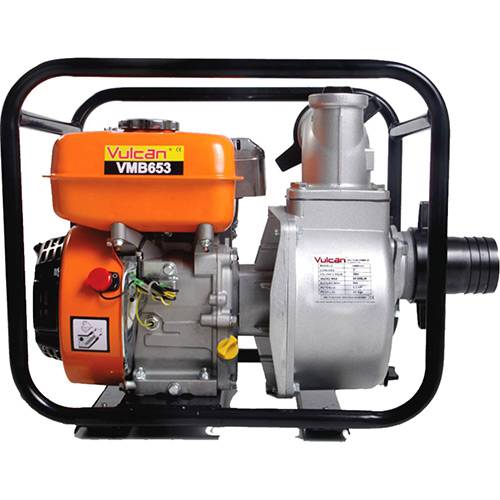 Assistência Técnica, SAC e Garantia do produto Motobomba à Gasolina com Motor 4 Tempos 6.5cv VMB653 Vulcan