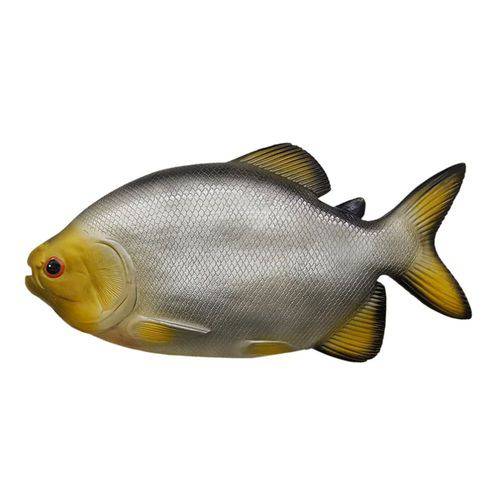 Assistência Técnica, SAC e Garantia do produto Peixe Pacu de Parede em Alto Relevo para Decoração.