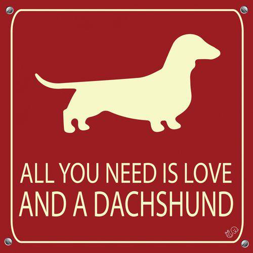 Assistência Técnica, SAC e Garantia do produto Placa de Decoração All You Need Is Love And a Dachshund