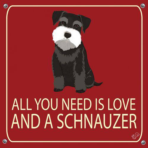 Assistência Técnica, SAC e Garantia do produto Placa de Decoração All You Need Is Love And a Schnauzer