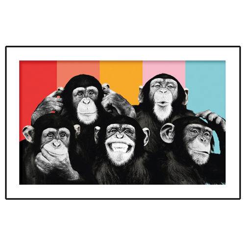 Assistência Técnica, SAC e Garantia do produto Quadro Placa Decorativa - Expressoes Macacos
