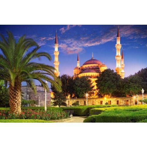 Assistência Técnica, SAC e Garantia do produto Quebra-Cabeça: Modelo: Blue Mosque Turkey (1000 Pcs)