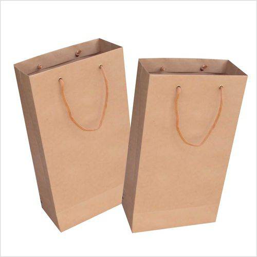 Assistência Técnica, SAC e Garantia do produto Sacola Kraft para 2 Garrafas 22x35x10 Cm - Pct com 10 Unidades