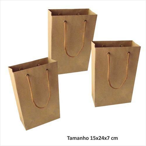 Assistência Técnica, SAC e Garantia do produto Sacola Kraft Pequena Tam 15x24x7 Cm - Cor Parda - Pct C/ 10 Unid