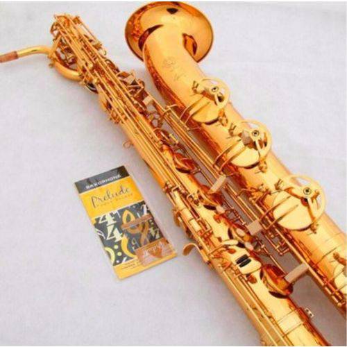 Assistência Técnica, SAC e Garantia do produto Sax Baritono Selmer R54 com Assessórios Completo