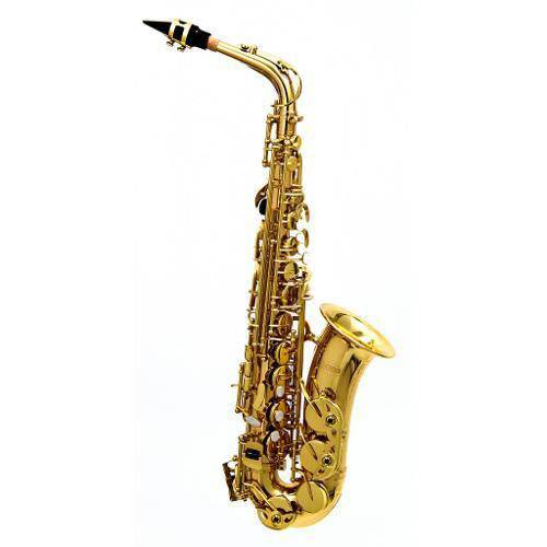 Assistência Técnica, SAC e Garantia do produto Saxofone Alto Laqueado Has-25l Hoyden