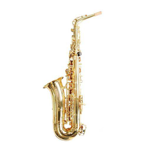 Assistência Técnica, SAC e Garantia do produto Saxofone Sax Alto Dolphin Eb Mib Laqueado Dourado