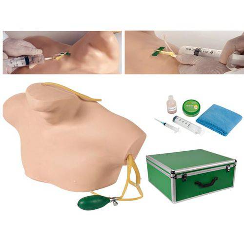 Assistência Técnica, SAC e Garantia do produto Simulador de Cateterismo Venoso Central - Anatomic - Código: Tgd-4069-b